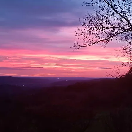 Vogelsbergblick, Fernblick, Sauna, Kamin, 1700m Eingezaeunt In Alleinlage *
