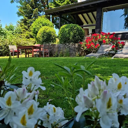 Vogelsbergblick, Fernblick, Sauna, Kamin, 1700m Eingezaeunt In Alleinlage بيت للعطل شوتن