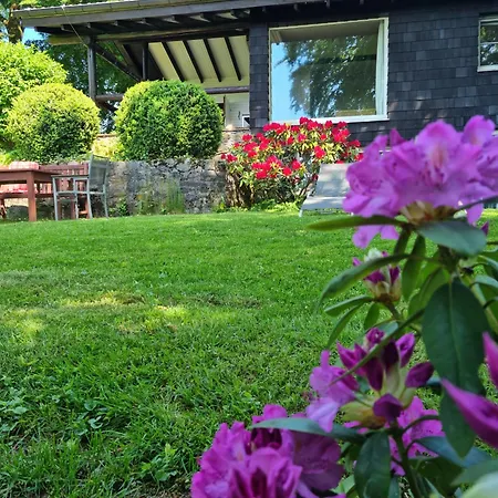 Vogelsbergblick, Fernblick, Sauna, Kamin, 1700m Eingezaeunt In Alleinlage شوتن
