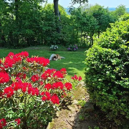Vogelsbergblick, Fernblick, Sauna, Kamin, 1700m Eingezaeunt In Alleinlage بيت للعطل
