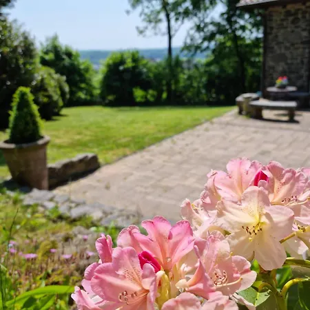 بيت للعطل Vogelsbergblick, Fernblick, Sauna, Kamin, 1700m Eingezaeunt In Alleinlage *