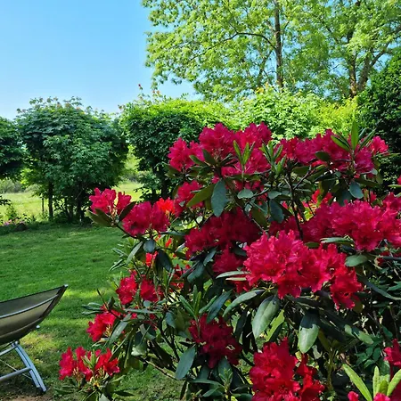 Vogelsbergblick, Fernblick, Sauna, Kamin, 1700m Eingezaeunt In Alleinlage بيت للعطل شوتن