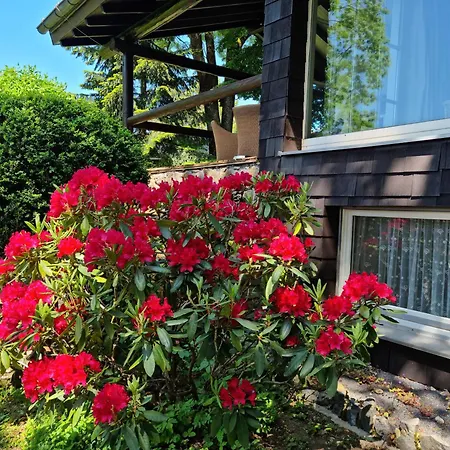 Vogelsbergblick, Fernblick, Sauna, Kamin, 1700m Eingezaeunt In Alleinlage شوتن
