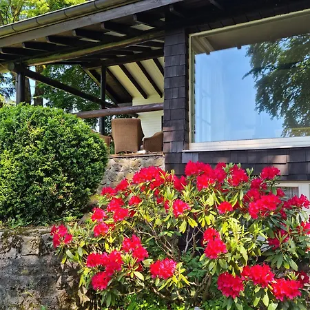 Vogelsbergblick, Fernblick, Sauna, Kamin, 1700m Eingezaeunt In Alleinlage
