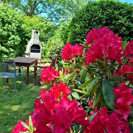 Vogelsbergblick, Fernblick, Sauna, Kamin, 1700m Eingezaeunt In Alleinlage شوتن