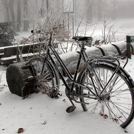 Vogelsbergblick, Fernblick, Sauna, Kamin, 1700m Eingezaeunt In Alleinlage بيت للعطل *