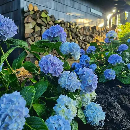 Vogelsbergblick, Fernblick, Sauna, Kamin, 1700m Eingezaeunt In Alleinlage