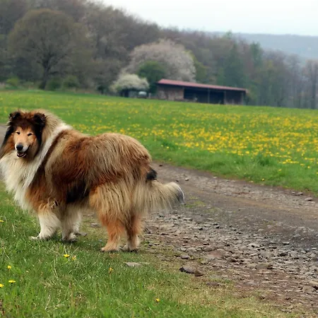 بيت للعطل Vogelsbergblick, Fernblick, Sauna, Kamin, 1700m Eingezaeunt In Alleinlage *