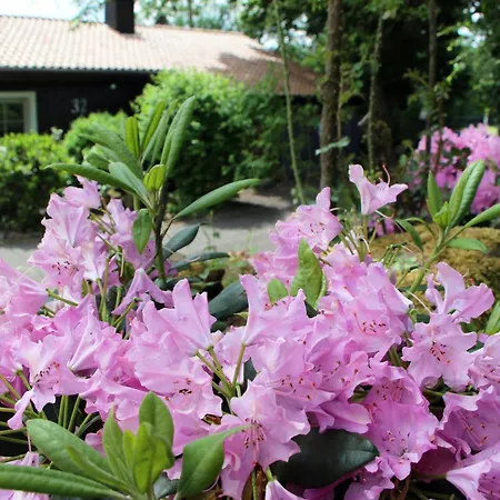 Vogelsbergblick, Fernblick, Sauna, Kamin, 1700m Eingezaeunt In Alleinlage * شوتن
