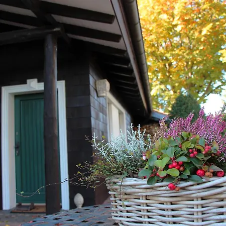 بيت للعطل Vogelsbergblick, Fernblick, Sauna, Kamin, 1700m Eingezaeunt In Alleinlage