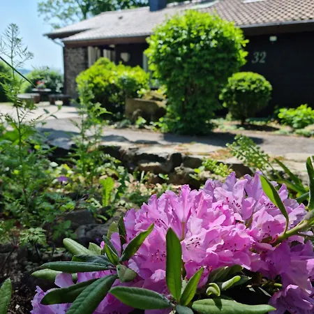 Vogelsbergblick, Fernblick, Sauna, Kamin, 1700m Eingezaeunt In Alleinlage *