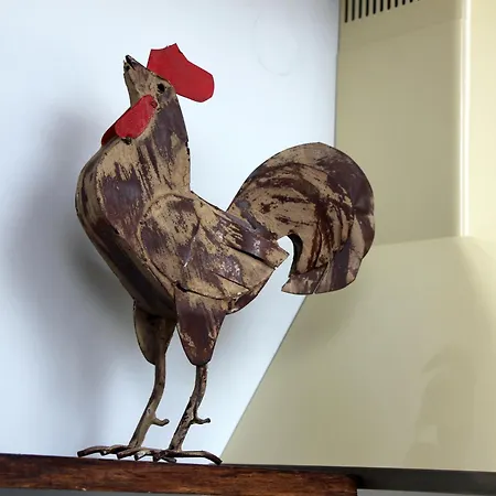 Vogelsbergblick, Fernblick, Sauna, Kamin, 1700m Eingezaeunt In Alleinlage * شوتن