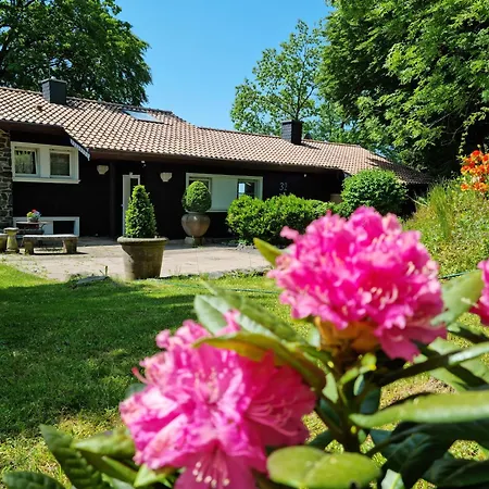 Vogelsbergblick, Fernblick, Sauna, Kamin, 1700m Eingezaeunt In Alleinlage