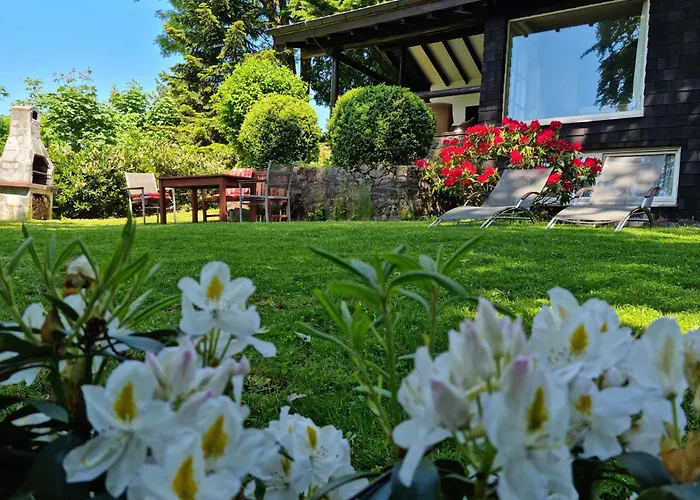 Vogelsbergblick, Fernblick, Sauna, Kamin, 1700m Eingezaeunt In Alleinlage Prázdninový dům Schotten