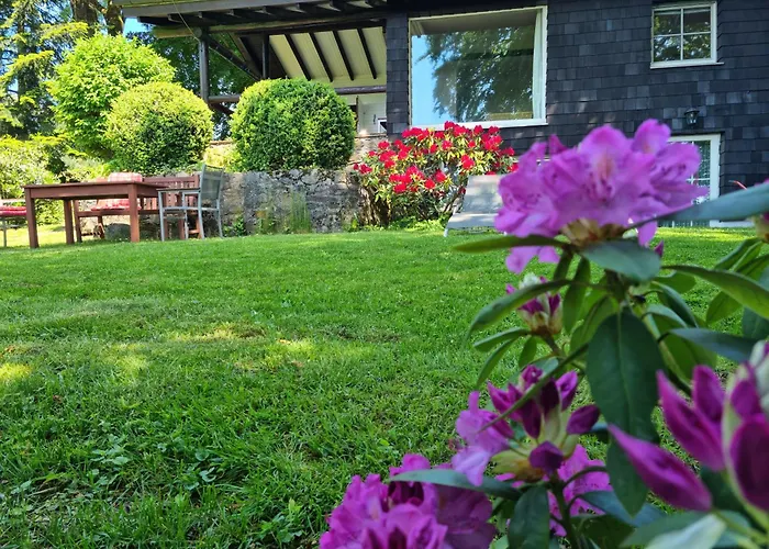 Vogelsbergblick, Fernblick, Sauna, Kamin, 1700m Eingezaeunt In Alleinlage Schotten