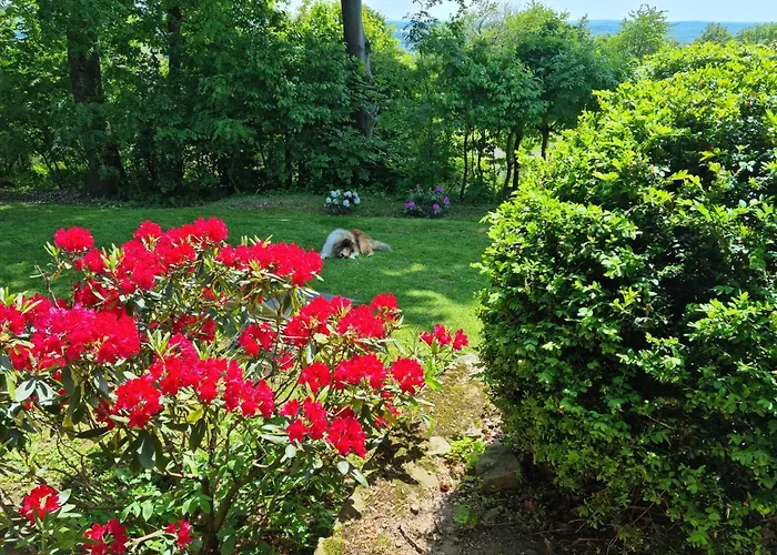 Vogelsbergblick, Fernblick, Sauna, Kamin, 1700m Eingezaeunt In Alleinlage Prázdninový dům