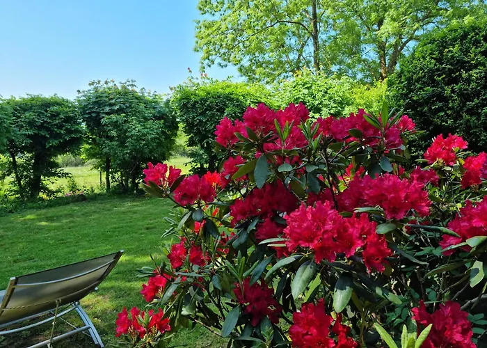 Vogelsbergblick, Fernblick, Sauna, Kamin, 1700m Eingezaeunt In Alleinlage Prázdninový dům Schotten