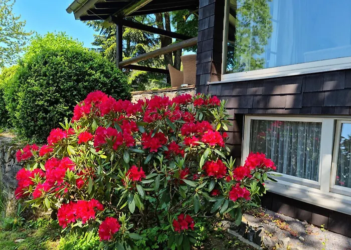 Vogelsbergblick, Fernblick, Sauna, Kamin, 1700m Eingezaeunt In Alleinlage Schotten
