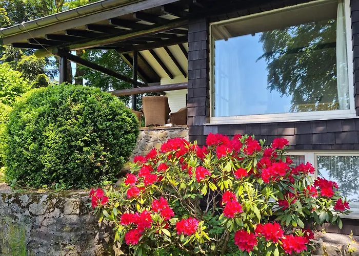 Vogelsbergblick, Fernblick, Sauna, Kamin, 1700m Eingezaeunt In Alleinlage