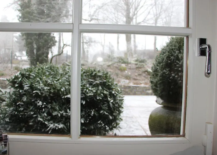 Vogelsbergblick, Fernblick, Sauna, Kamin, 1700m Eingezaeunt In Alleinlage *