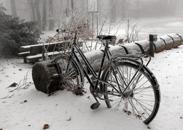 Vogelsbergblick, Fernblick, Sauna, Kamin, 1700m Eingezaeunt In Alleinlage Prázdninový dům *