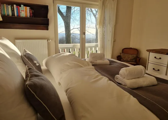 Vogelsbergblick, Fernblick, Sauna, Kamin, 1700m Eingezaeunt In Alleinlage *