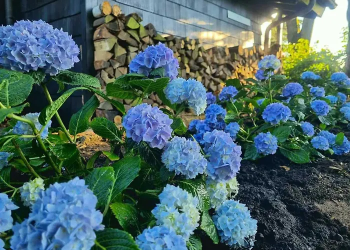 Vogelsbergblick, Fernblick, Sauna, Kamin, 1700m Eingezaeunt In Alleinlage