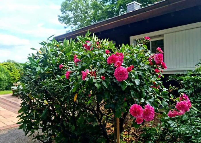 Prázdninový dům Vogelsbergblick, Fernblick, Sauna, Kamin, 1700m Eingezaeunt In Alleinlage