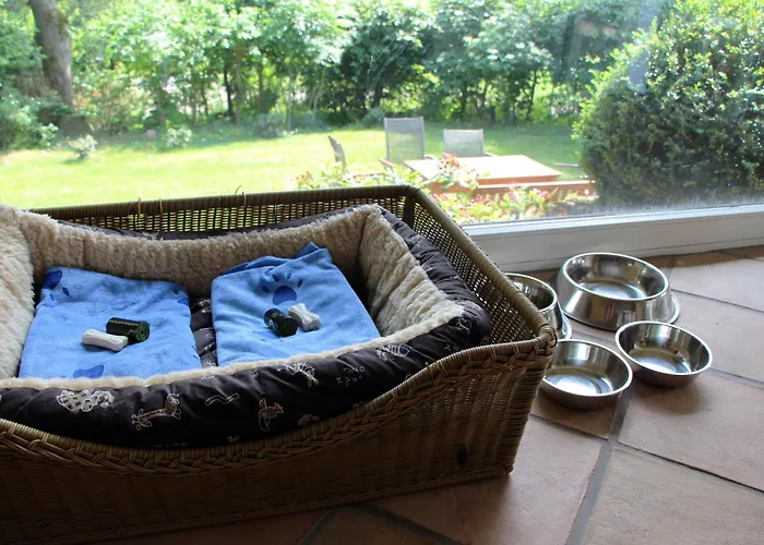 Vogelsbergblick, Fernblick, Sauna, Kamin, 1700m Eingezaeunt In Alleinlage Prázdninový dům