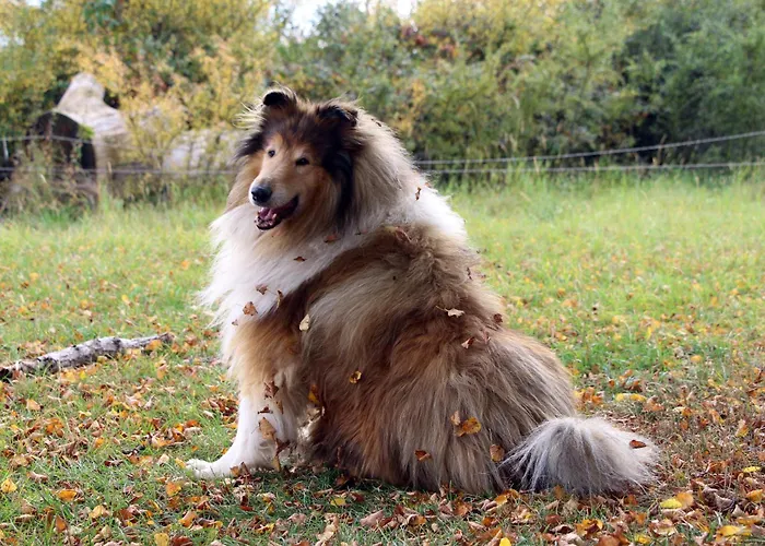 Prázdninový dům Vogelsbergblick, Fernblick, Sauna, Kamin, 1700m Eingezaeunt In Alleinlage