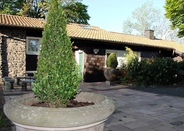 Vogelsbergblick, Fernblick, Sauna, Kamin, 1700m Eingezaeunt In Alleinlage * Schotten