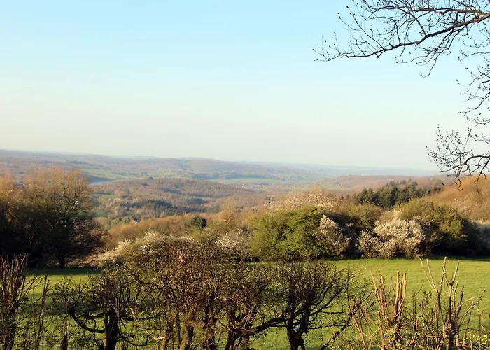 Prázdninový dům Vogelsbergblick, Fernblick, Sauna, Kamin, 1700m Eingezaeunt In Alleinlage