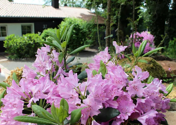 Vogelsbergblick, Fernblick, Sauna, Kamin, 1700m Eingezaeunt In Alleinlage * Schotten
