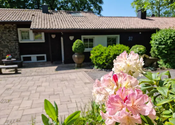 Prázdninový dům Vogelsbergblick, Fernblick, Sauna, Kamin, 1700m Eingezaeunt In Alleinlage *