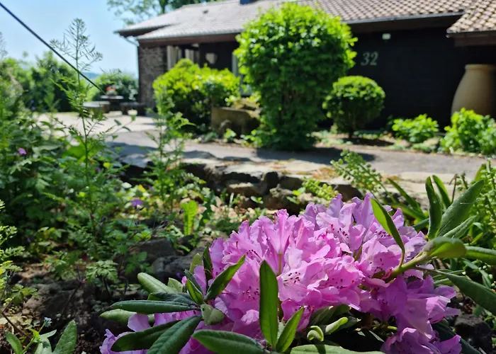 Vogelsbergblick, Fernblick, Sauna, Kamin, 1700m Eingezaeunt In Alleinlage *