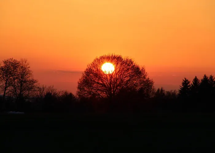 Vogelsbergblick, Fernblick, Sauna, Kamin, 1700m Eingezaeunt In Alleinlage * Schotten