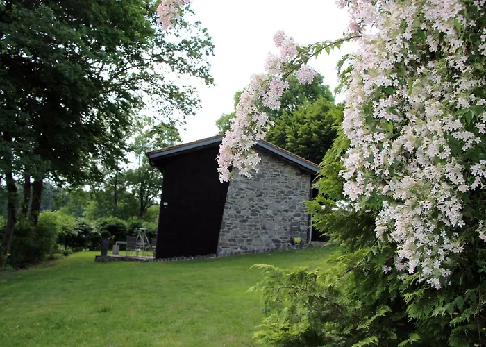 Vogelsbergblick, Fernblick, Sauna, Kamin, 1700m Eingezaeunt In Alleinlage Prázdninový dům